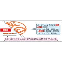 シヤチハタ 朱肉エコス MG-60EC 60号 12個 MG-60ECシユイロ 1セット（直送品）