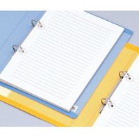 ニチバン パンチラベル ML-251 透明 10パック　1箱（直送品）