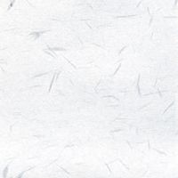 マルアイ コピー和紙 カミ-P4AW A4 白 200枚　1セット（直送品）