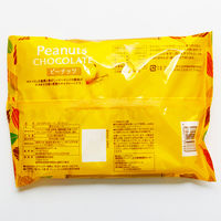 モントワール ひとくちチョコレートピーナッツ 4560211397833 162G×12個（直送品）