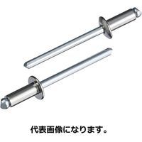 ブラインドリベット（丸頭）LSS43　1箱（1000本） ロブテックス（直送品）