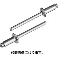 ブラインドリベット（丸頭）LST42　1箱（1000本） ロブテックス（直送品）