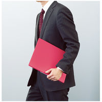 コクヨ（KOKUYO） クリヤーブック<FITUS>固定式 20枚ポケット 2穴とじ具付き ピンク ラ-FT20P　1セット（3冊）　64289762（直送品）