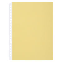 コクヨ ルーズリーフ用ポケットファイル クリヤーポケット ノ-891 1セット(8枚入×20冊)