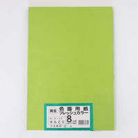 再生色画用紙八切100枚入 きみどり B-3881 1袋