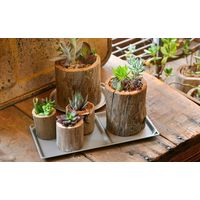 トリートレイスクエア　シルバー 4977449141471 5枚セット 北陸アルミニウム（直送品）