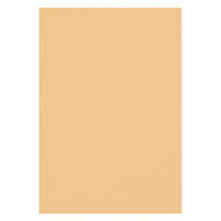 リンテック 色画用紙 ニューカラーR 四切 うすちゃ NCR1094　1包(100枚入)