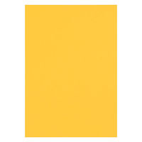 リンテック 色画用紙 ニューカラーR 四切 みかん NCR2374　1包(100枚入)