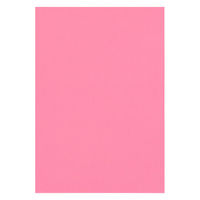 リンテック 色画用紙 ニューカラーR 四切 こいもも NCR2324　1包(100枚入)