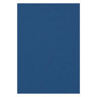 リンテック 色画用紙 ニューカラーR 四切 あいいろ NCR3204　1包(100枚入)