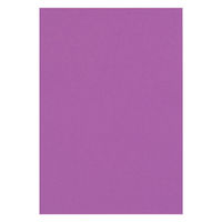 リンテック 色画用紙 ニューカラーR 四切 むらさき NCR2414　1包(100枚入)