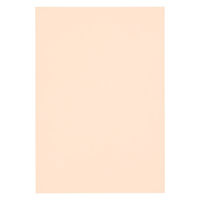 リンテック 色画用紙 ニューカラーR 四切 うすだいだい NCR1034　1包(100枚入)