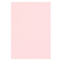 リンテック 色画用紙 ニューカラーR 八切 うすもも NCR1028　1包(100枚入)