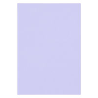 リンテック 色画用紙 ニューカラーR 八切 ふじむらさき NCR2178　1包(100枚入)