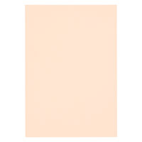 リンテック 色画用紙 ニューカラーR 八切 うすだいだい NCR1038　1包(100枚入)