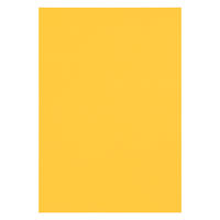 リンテック 色画用紙 ニューカラーR 八切 みかん NCR2378　1包(100枚入)