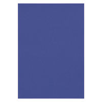 リンテック 色画用紙 ニューカラーR 八切 ぐんじょう NCR2148　1包(100枚入)