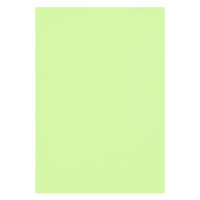 リンテック 色画用紙 ニューカラーR 八切 わかくさ NCR2438　1包(100枚入)