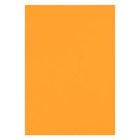 リンテック 色画用紙 ニューカラーR 八切 やまぶきいろ NCR3248　1包(100枚入)