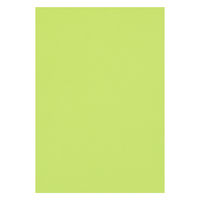 リンテック 色画用紙 ニューカラーR 八切 きみどり NCR2128　1包(100枚入)