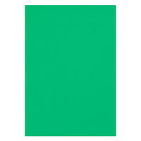 リンテック 色画用紙 ニューカラーR 八切 みどり NCR3218　1包(100枚入)