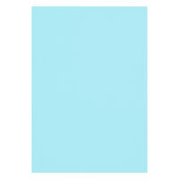 リンテック 色画用紙 ニューカラーR 八切 みずいろ NCR2118　1包(100枚入)
