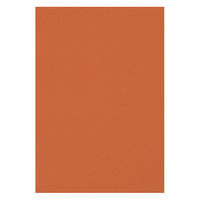 リンテック 色画用紙 ニューカラーR 八切 ちゃいろ NCR2368　1包(100枚入)