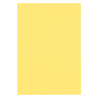 リンテック 色画用紙 ニューカラーR 八切 きいろ NCR1088　1包(100枚入)