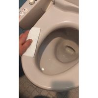トーヨ 流せる除菌シート 大判タイプ 256010 1ケース(48パック)