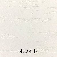 オンザウォール アーキスタッコ 10kg ホワイト OTW9029038 1個（直送品）