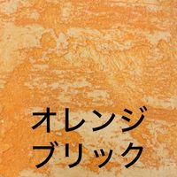 オンザウォール アーキエイジング オレンジブリック 100g OTW9029050 1個（直送品）
