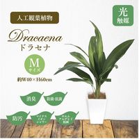 ササガワ フェイクグリーン・人工観葉植物 ドラセナ Mサイズ 32-8709 1個（直送品）