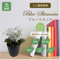 ササガワ フェイクグリーン・人工観葉植物 ブルースキニア ミニサイズ 32-8703 1個（直送品）