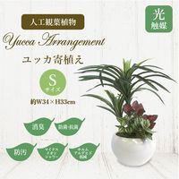 ササガワ フェイクグリーン・人工観葉植物 ユッカ寄植え Sサイズ 32-8707 1個（直送品）