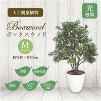 ササガワ フェイクグリーン・人工観葉植物 ボックスウッド Mサイズ 32-8710 1個（直送品）