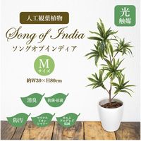 ササガワ フェイクグリーン・人工観葉植物 ソングオブインディア Mサイズ 32-8712 1個（直送品）