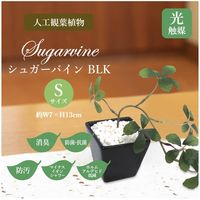ササガワ フェイクグリーン・人工観葉植物 シュガーバイン BLK Sサイズ 32-8706 1個（直送品）