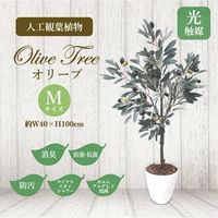 ササガワ フェイクグリーン・人工観葉植物 オリーブ Mサイズ 32-8713 1個（直送品）