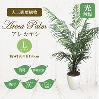 ササガワ フェイクグリーン・人工観葉植物 アレカヤシ Lサイズ 32-8724 1個（直送品）