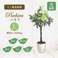 ササガワ フェイクグリーン・人工観葉植物 パキラ Lサイズ 32-8721 1個（直送品）