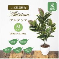 ササガワ フェイクグリーン・人工観葉植物 アルテシマ Mサイズ 32-8715 1個（直送品）