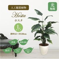 ササガワ フェイクグリーン・人工観葉植物 ホスタ Lサイズ 32-8720 1個（直送品）