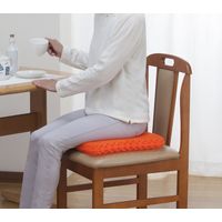 ファミリー・ライフ 快適＜無重力＞ジェルクッションEX 03891 1個（直送品）