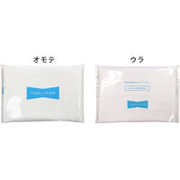 エヒメ紙工 ポケットペーパータオル 使い捨て手拭き用 10枚入×10個パック PPT-10P 3セット(300枚:100枚×3)