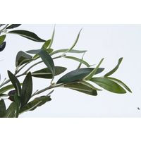 不二貿易 オリーブ 312 52689 1個