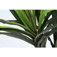 不二貿易 フェイクグリーン ドラセナ コンシンネ 幅800×奥行800×高さ1480mm 52692 1個（直送品）