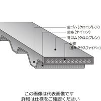 バンドー化学 シンクロベルト 208XL031 1本（直送品）