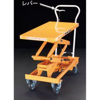 エスコ 520x1010mm/500kg テーブルリフト EA520X-12 1台（直送品）