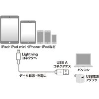 サンワサプライ ライトニングケーブル(ホワイト・2m) KB-IPLT20K2W 1本