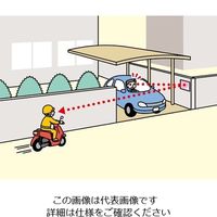 エスコ 320x250mmフラット型凸面機能ミラー(車庫用/ビス止) EA724ZL-2A 1個（直送品）